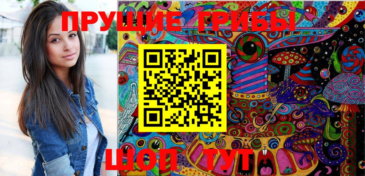 Галлюциногенные грибы GOLDEN TEACHER  Вход с VPN  Галлюциногенные грибы мухоморы  Томск 